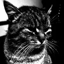 really._there avatar