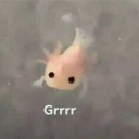 avatar Fiery_Phoenix