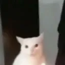 cumz666