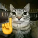 rentnerjoshiii