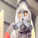 Avatar for キリト