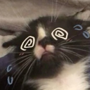 avatar squish