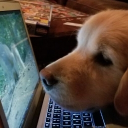 avatar squish