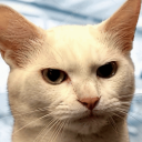 chi9909#5700's avatar