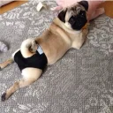 Аватар .scopix