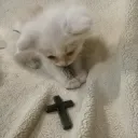 zkkkkkk_