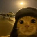 thatairborneginger9969