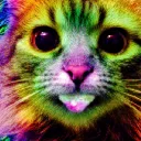 psychedelichighs