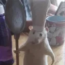 haketo_kenko