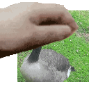 avatar ! ꧁ঔৣ☬✞𝕾𝖍𝖎𝖔𝖗𝖎✞☬ঔৣ꧂ ☃