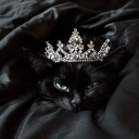 avatar kelly🌺🌸