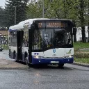 noissimonyt