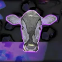 thenoisybovine