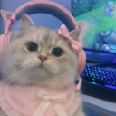 avatar .𝓗𝓲𝓵𝓪𝔁𝓩 ᓚᘏᗢ