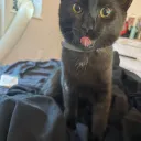watermelon.rel
