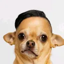 x_zgoat1z