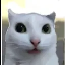 jujuxinny2