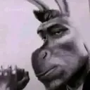 chotuhere