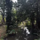 zenitx_