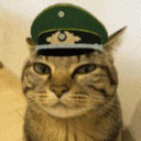 sombrero_3836 member profile picture