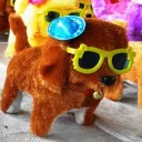 sunny_lion