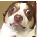 strangestbort