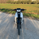 paulos137