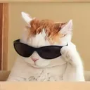 megacrazycookie