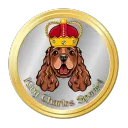 kingcharlesspaniel3042