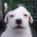 xxxxdarksonxxxx avatar