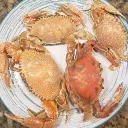 the_sax_dude_20 avatar