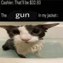 doge_life