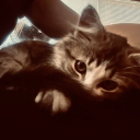 avatar ⃟⃟⃟⃟⃟