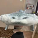 Аватар tankuct.