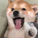 vasilisa_m431498283657's Avatar