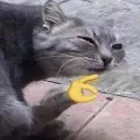 bennyboi143