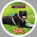 agtxleo