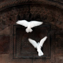 avatar Feride ☾⭒