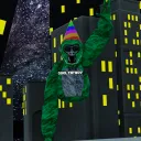 cooltntboy