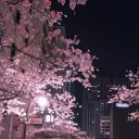 a.ia_