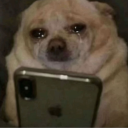 avatar ♬♪♫ ᖾoᥒƙ ⳽ᖾoo ຕɩຕɩ ♬♪♫