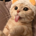 avatar ♬♪♫ ᖾoᥒƙ ⳽ᖾoo ຕɩຕɩ ♬♪♫