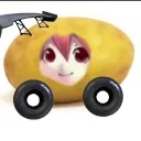 blackzin_irmao avatar