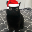 avatar TreyNotHomeless