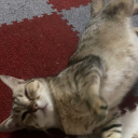 avatar Con mẹ mày trai a6