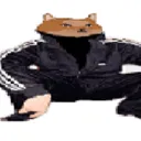 .pupochk