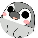 pengwin5148