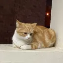 quidsn