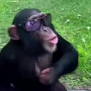 Avatar 𝓦𝓲𝓷𝓷𝓮𝔂º