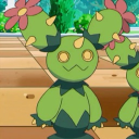 avatar cremaractus